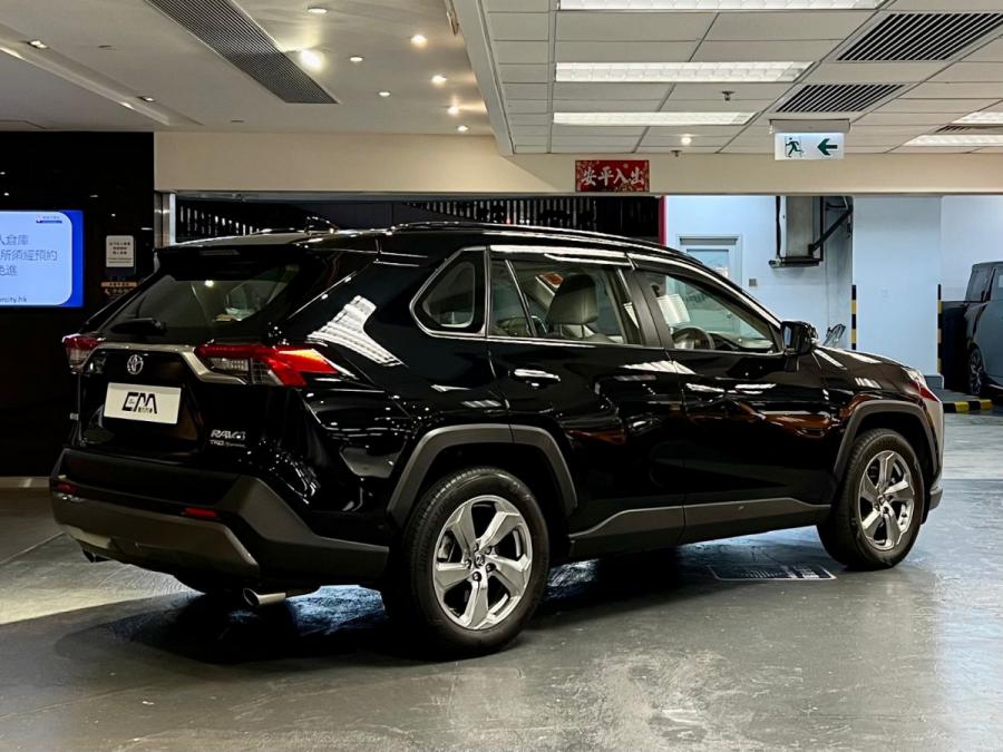 RAV4 Deluxe - Image 2